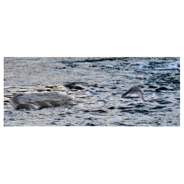 PHOTO84, CLUB, 84 , LUBERON